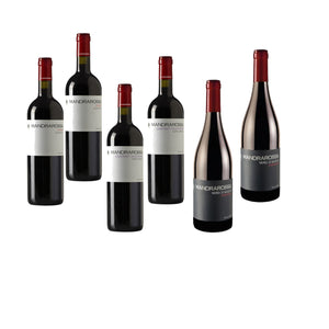 Cabernet sauvignon x2, Nero d'Avola x2, Shyra x2